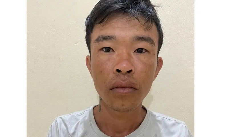 Gia Lai: Nghi phạm trộm xe, đâm trọng thương hai công an xã bị bắt khi đang lẩn trốn