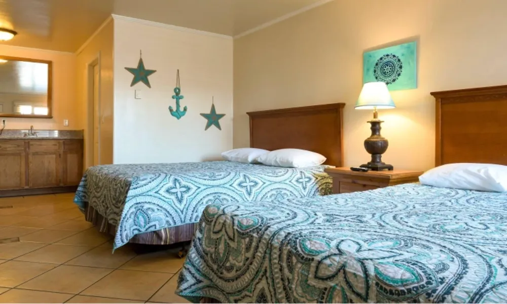 Khách sạn bị phạt nặng vì không xử lý tình trạng bọ rệp gây hại khách