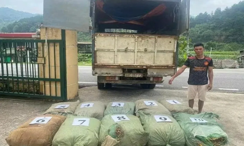 Hơn 1,1 tấn thuốc lá không giấy tờ bị lực lượng biên phòng thu giữ