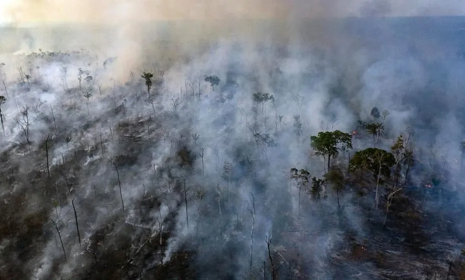 Tình trạng phá rừng Amazon tăng vọt 92% trong tháng 5