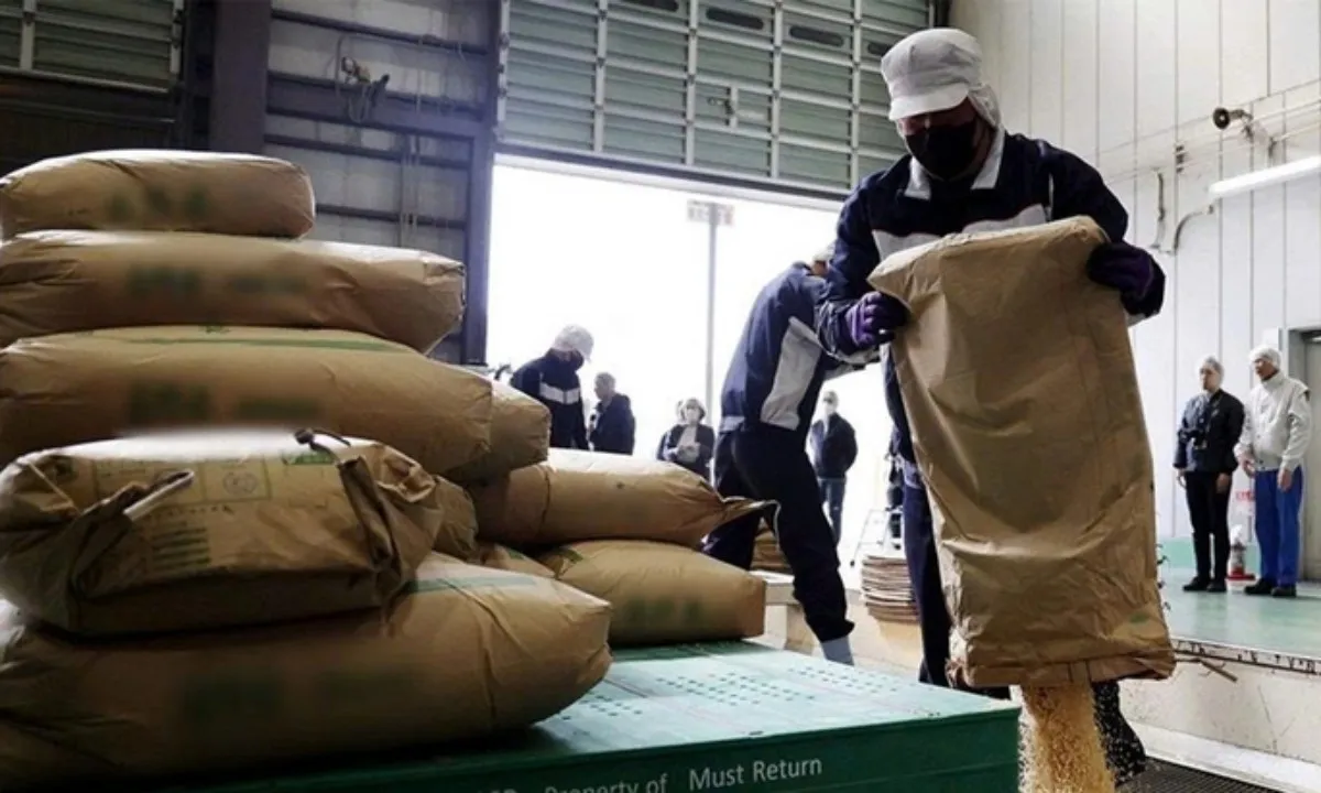 Khủng hoảng gạo tại Nhật Bản: Cơ hội và thách thức cho Việt Nam