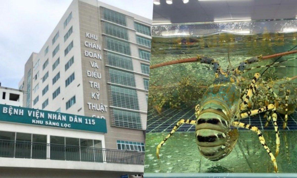 Điểm tin sáng 9/6: BV 115 bác thông tin sai về phí giữ xe | Bơm tạp chất vào tôm hùm
