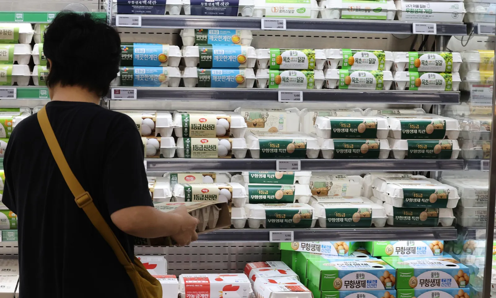 Giá trứng tại Hàn Quốc tăng lên mức cao nhất trong 4 năm