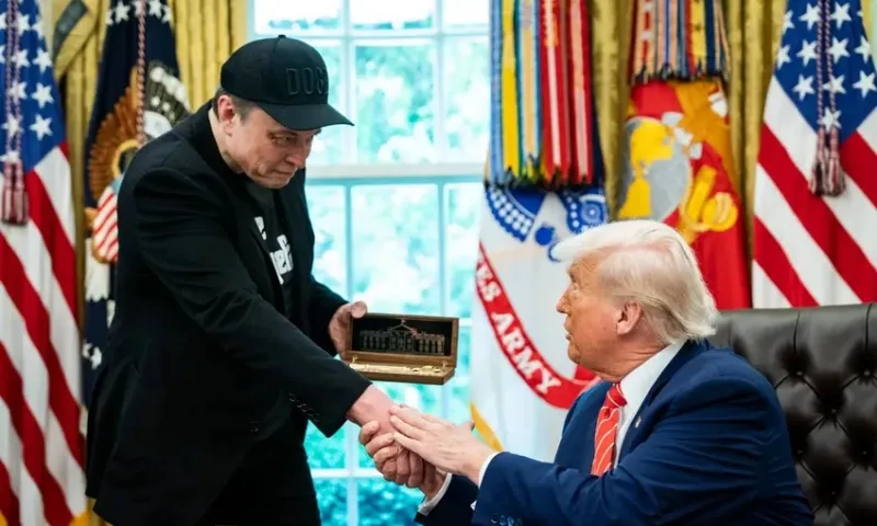 Trump - Musk 2024