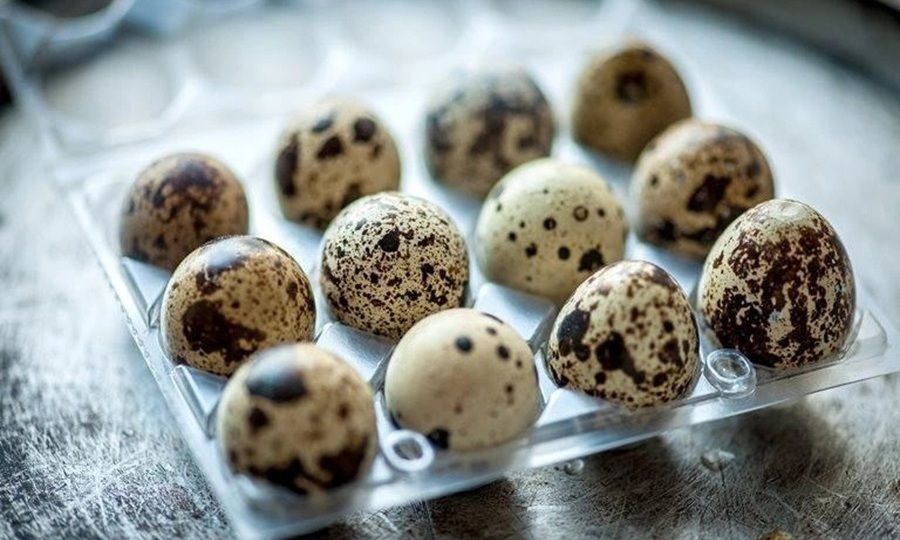 Cha mẹ kiện thành phố 60 triệu yên sau cái chết của con trai vì nghẹn trứng cút tại trường học