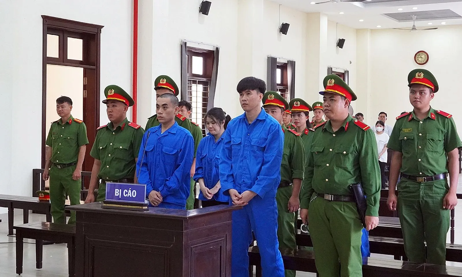 bi cao_voh
