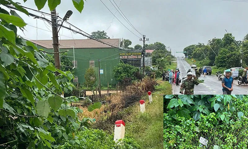 Hai thanh niên đi xe máy tử vong khi tông vào cọc tiêu bên Tỉnh lộ 15