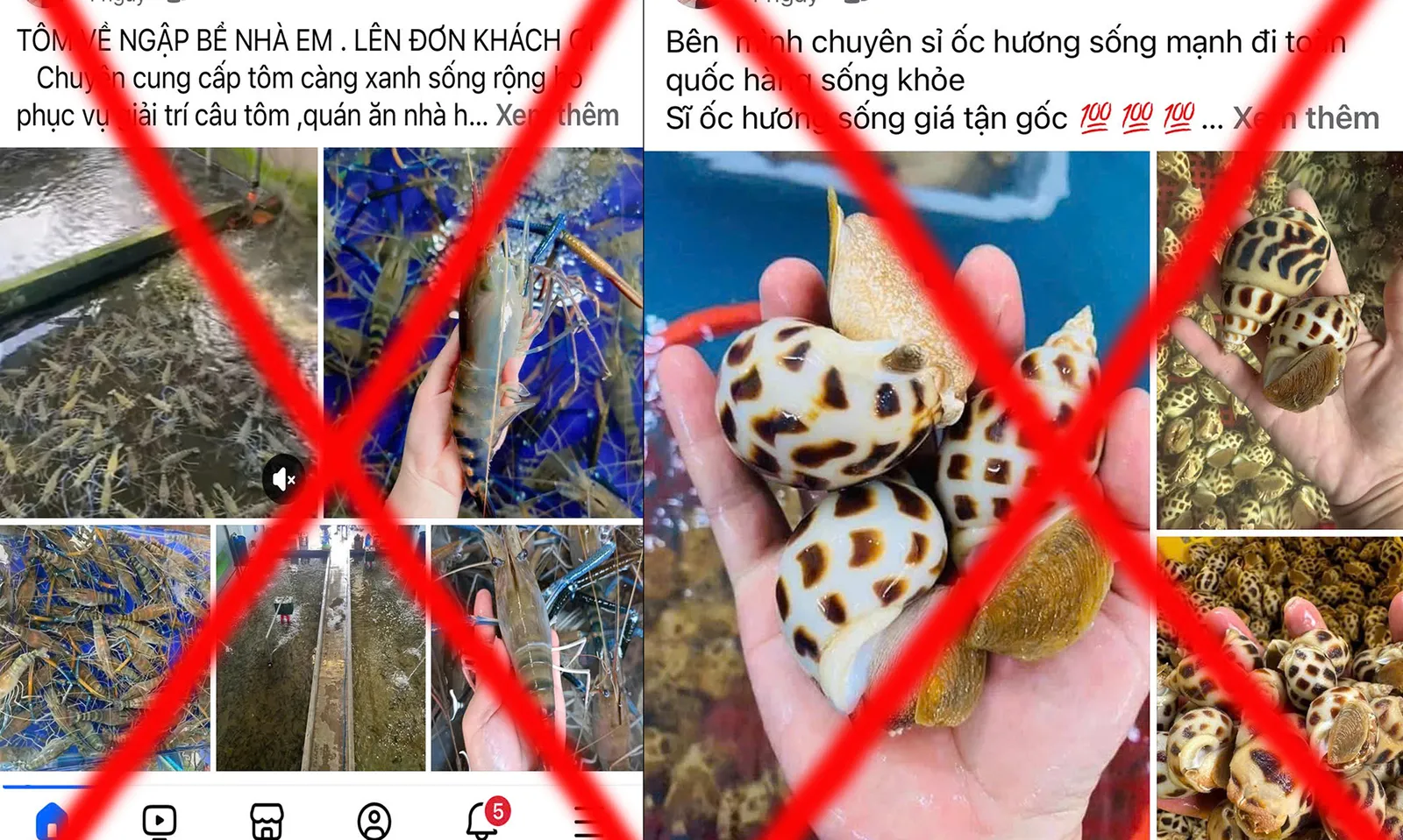 Chiếm đoạt hơn 300 triệu đồng bằng chiêu trò bán hải sản online