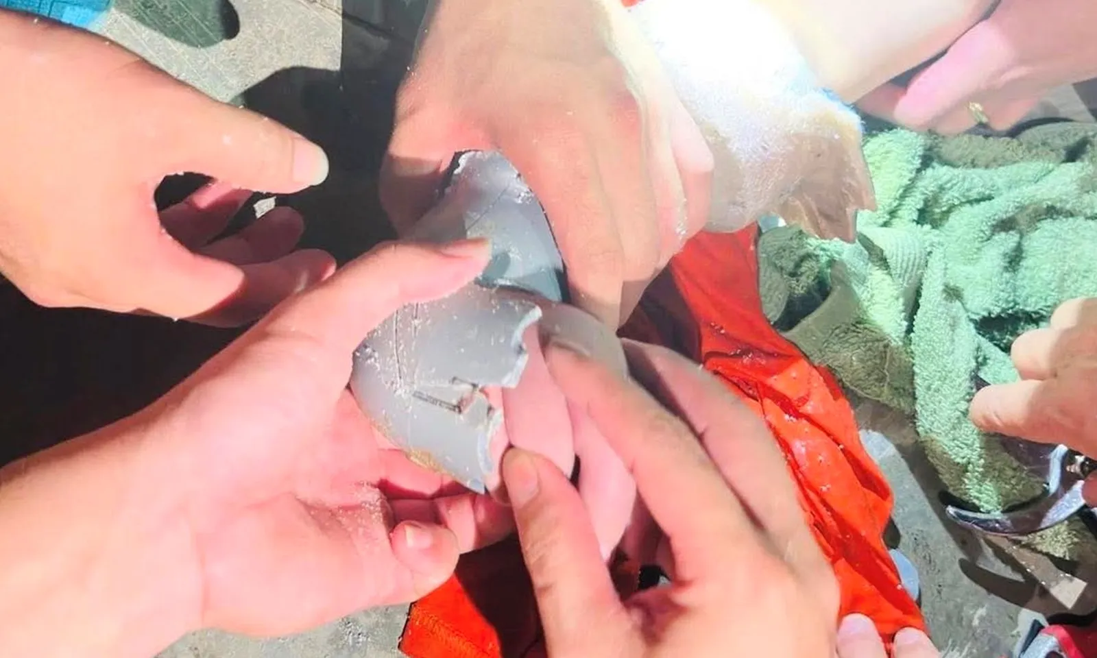 Giải cứu bé trai kẹt tay vào ống thoát nước bể bơi