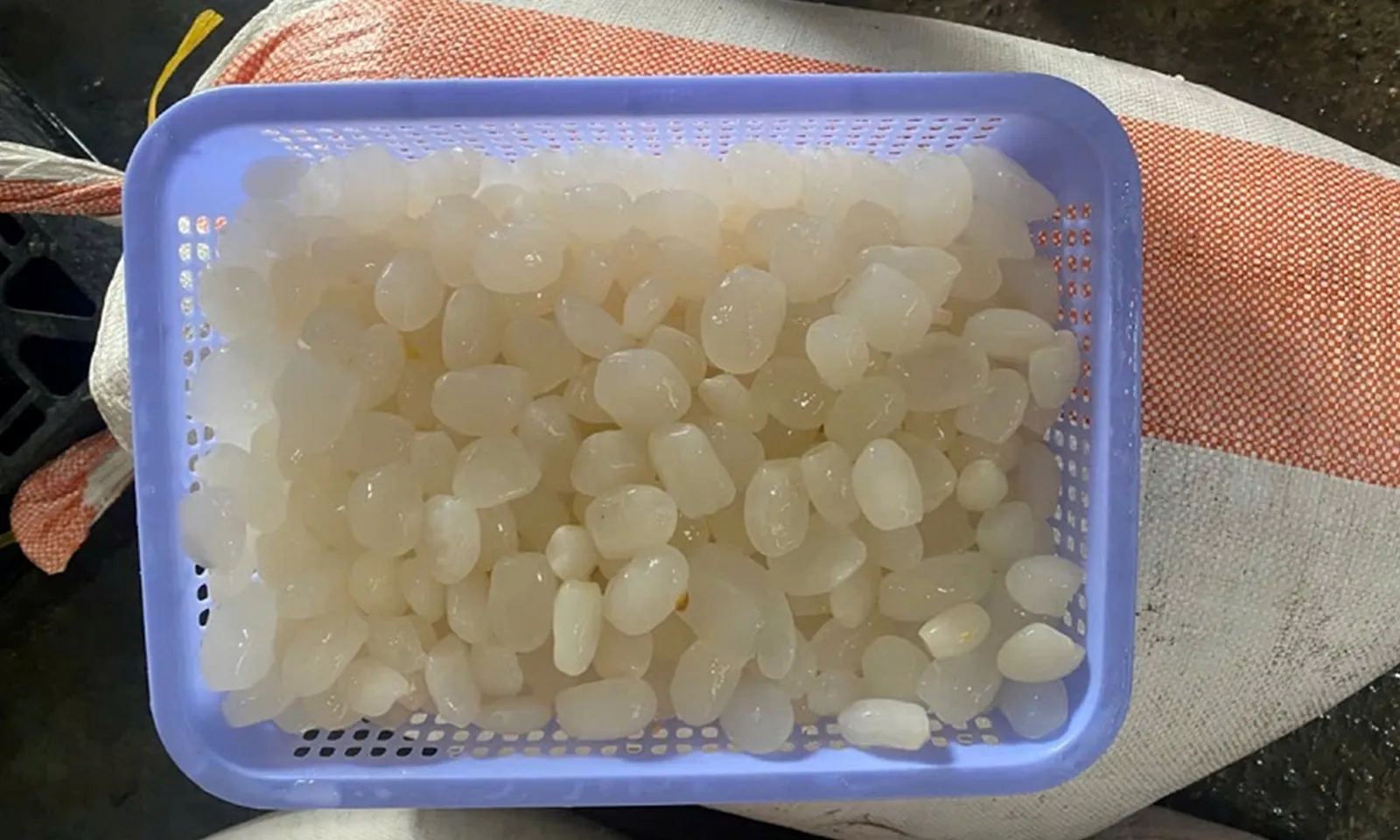 Phát hiện 1,1 tấn hạt đác không rõ nguồn gốc chuẩn bị tung ra thị trường