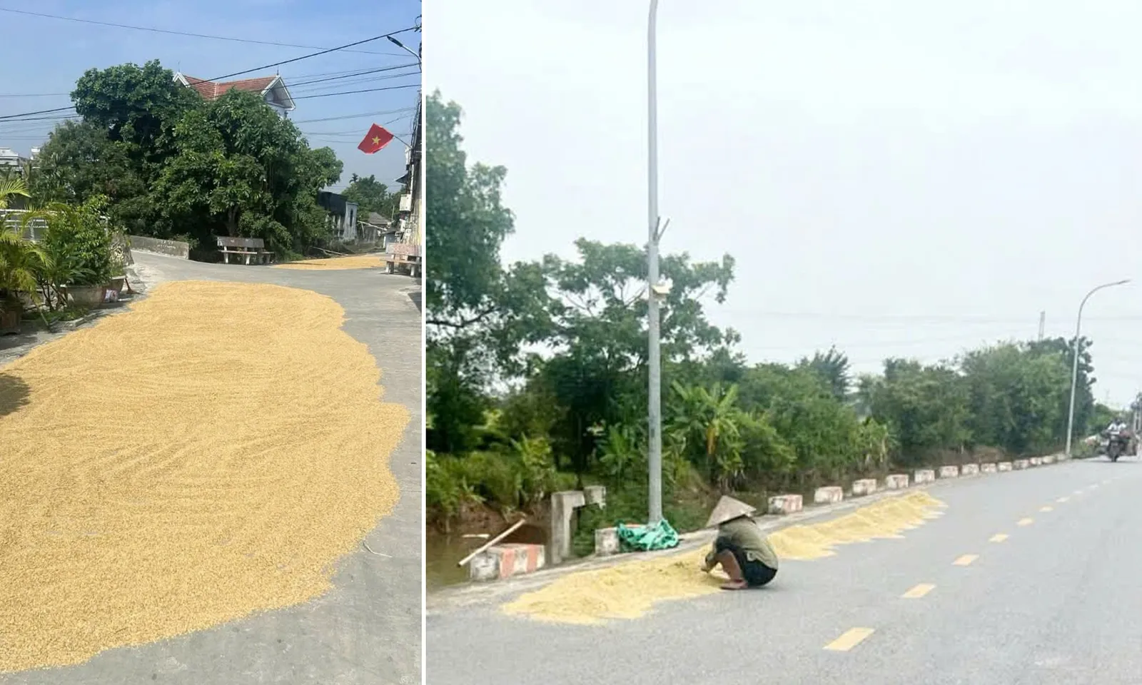 Va vào đống thóc để ven đường, một người phụ nữ té xuống tử vong