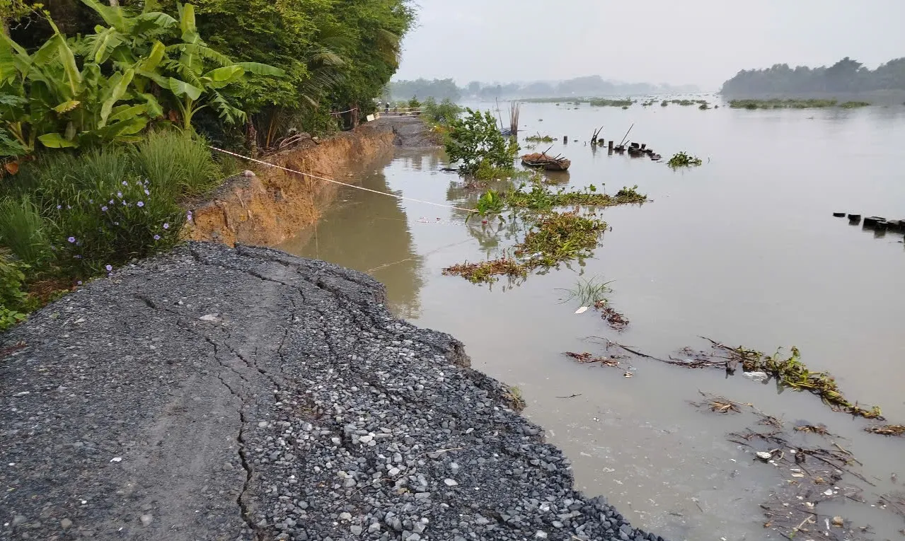 Sạt lở nghiêm trọng bờ đê sông Sài Gòn thuộc Củ Chi