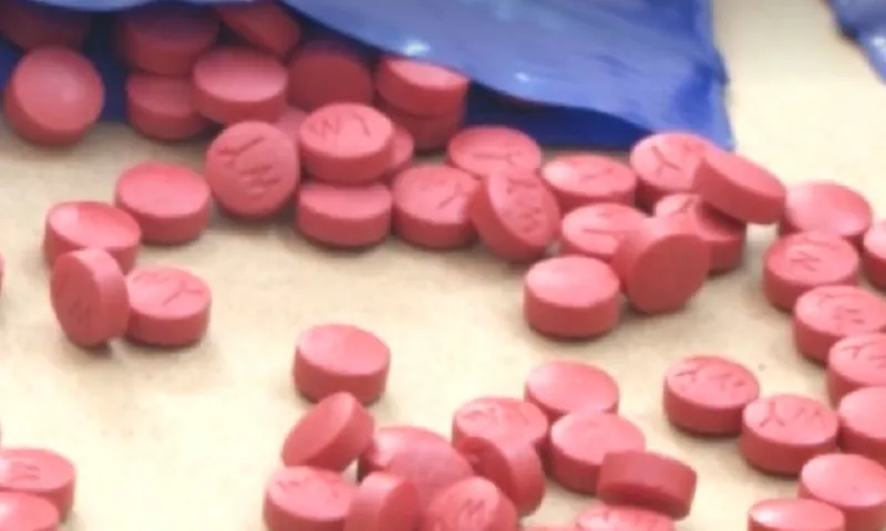 Triệt phá đường dây ma túy lớn, bắt giữ 2 đối tượng cùng tang vật