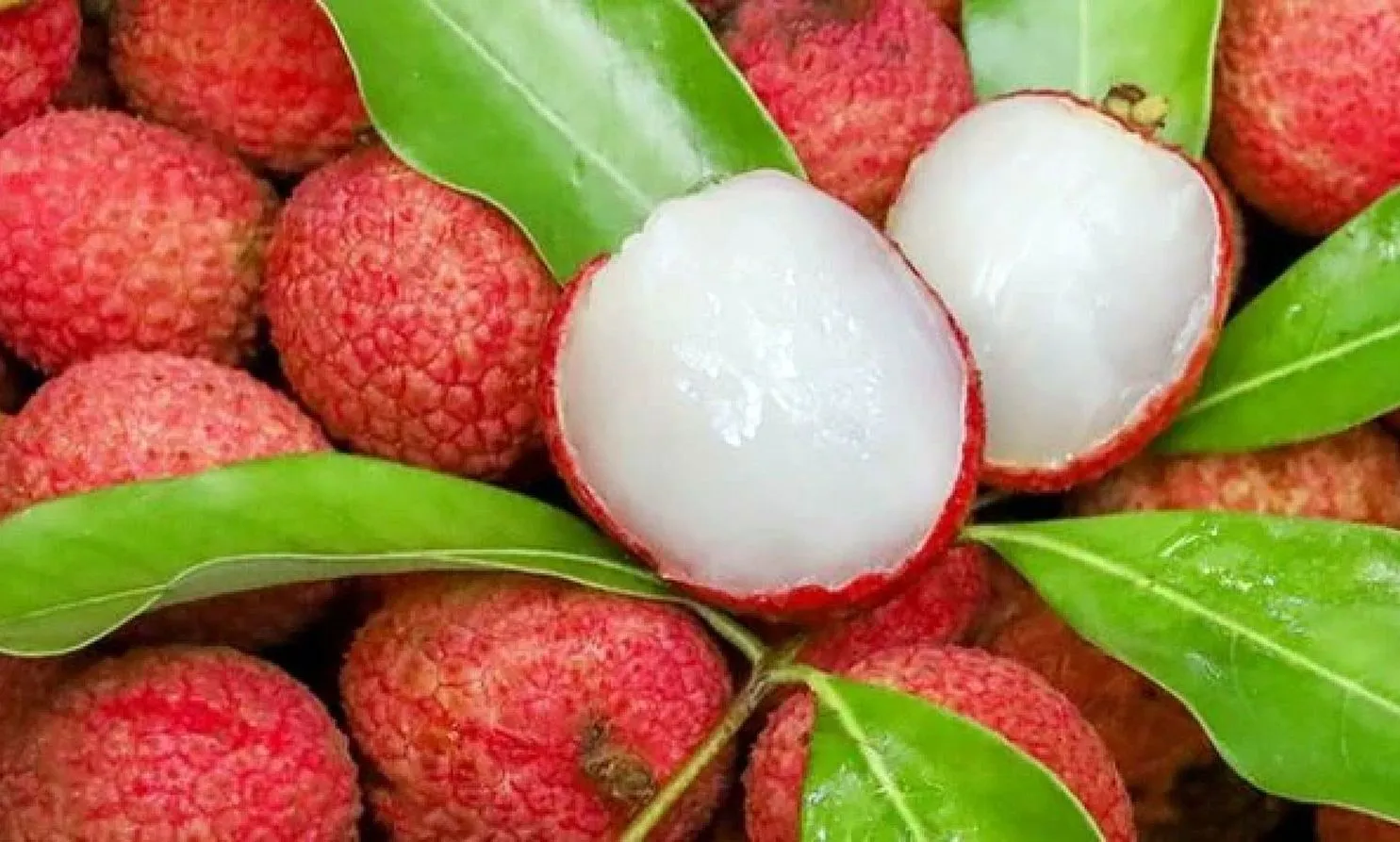 Nhập viện cấp cứu vì ăn hơn 100 quả vải trong ngày