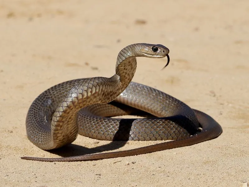 voh-tu-vi-tuan-3-thang-6-1