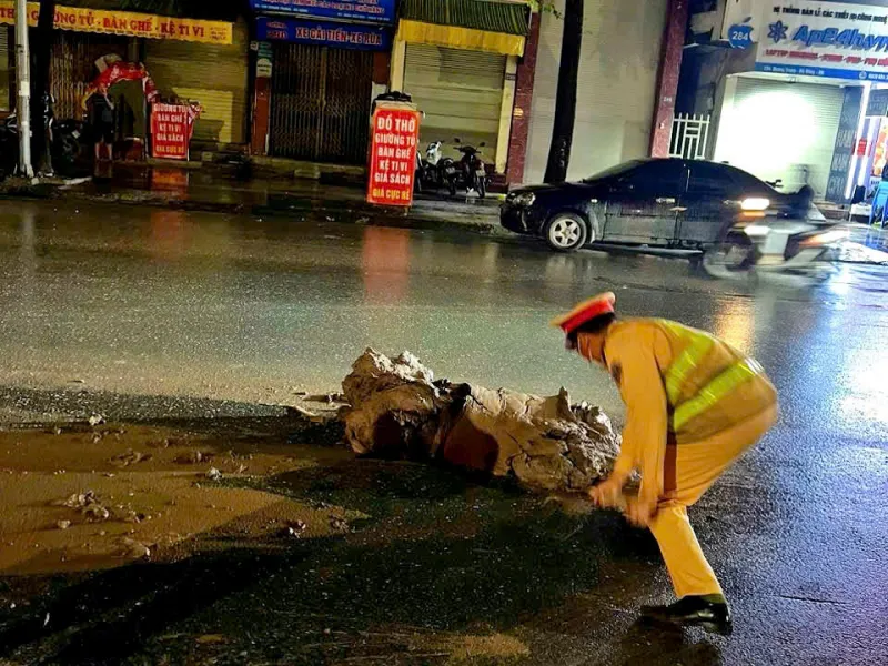 1000035185-1750156313030