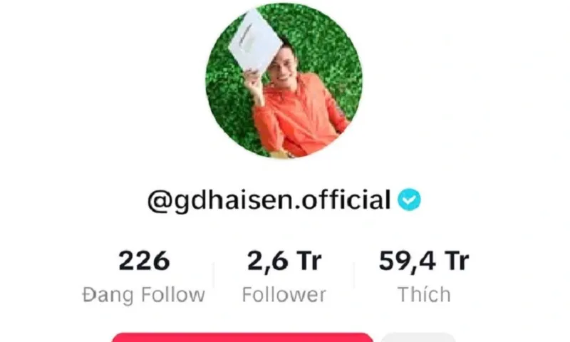 kênh tiktok gia đình hải sen