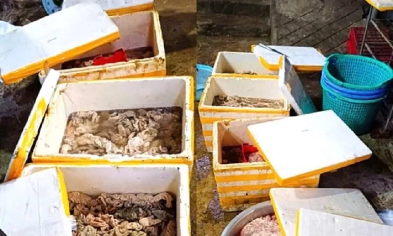 Phát hiện cơ sở phù phép lòng heo không rõ nguồn gốc, còn xả thải gây ô nhiễm