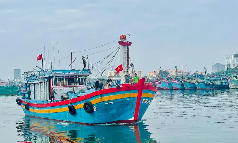 Đà Nẵng giám sát hàng trăm tàu cá chưa đủ điều kiện hoạt động 