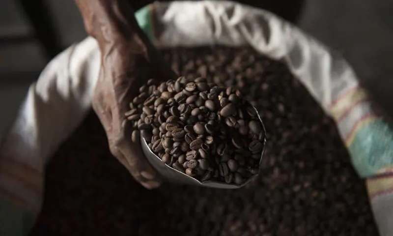 Người phụ nữ ở Melbourne Úc chết vì dùng quá liều caffeine - Ảnh PA Media
