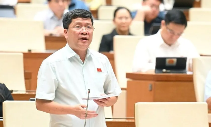 Vẫn đang nỗ lực ngăn Mỹ áp thuế cao với hàng Việt