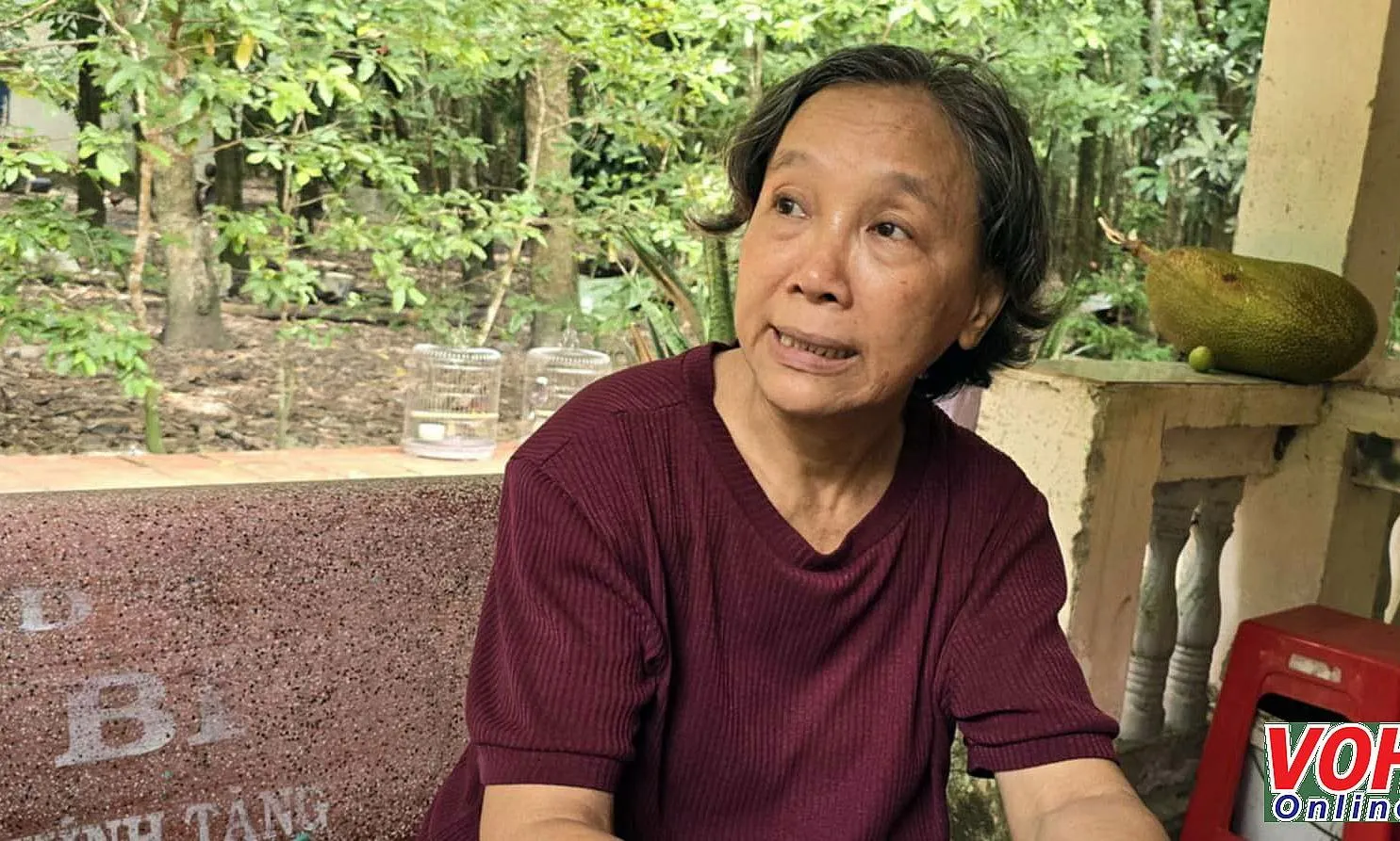 Vụ vườn cao su 55,5 ha bị cưỡng chế thi hành án: còn nhiều tâm tư