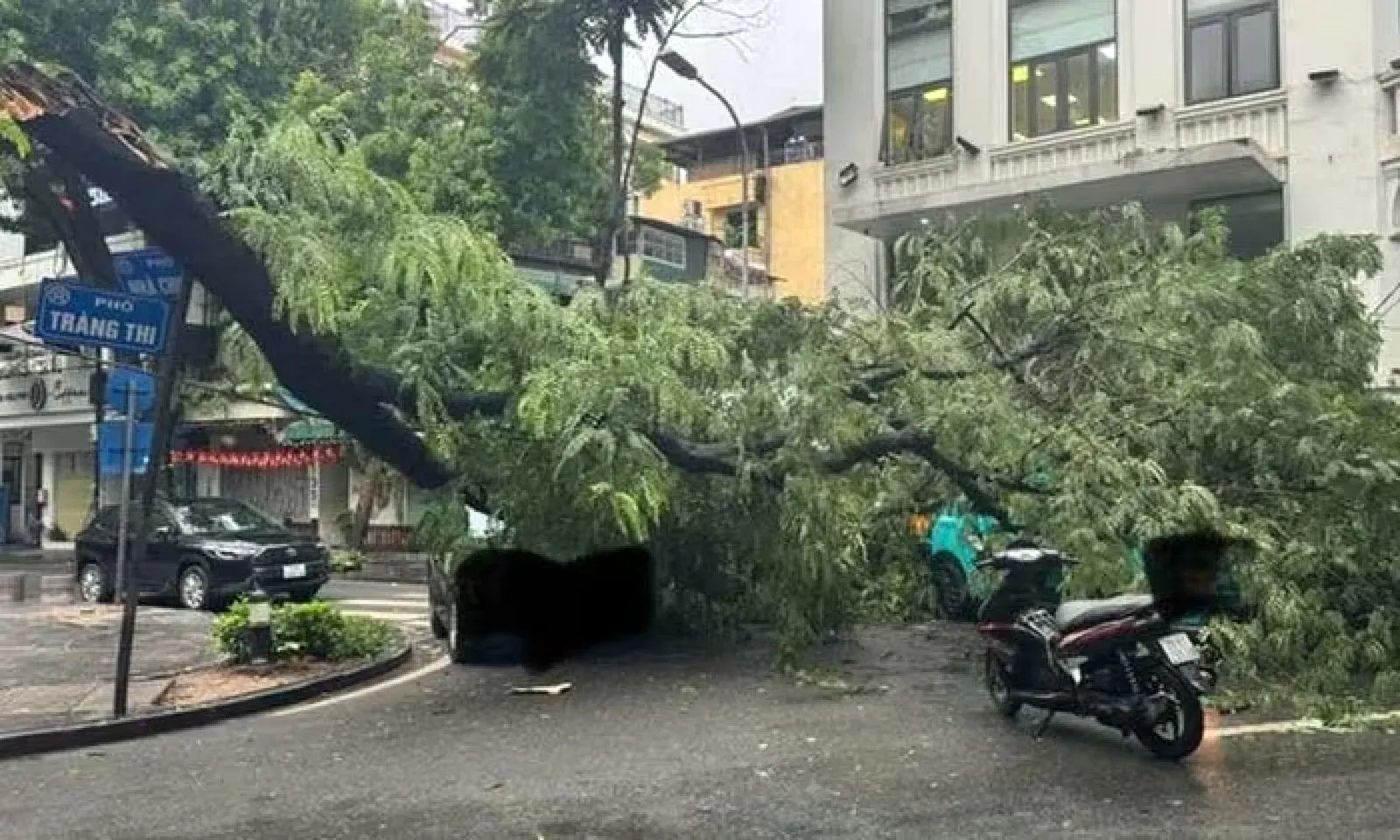 Cây phượng bật gốc đè trúng 3 ô tô trên phố Tràng Thi, Hà Nội