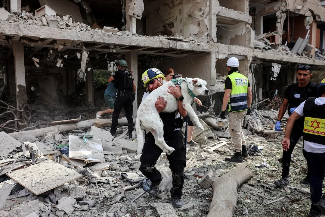 Q2PQGTGZNNMGJDVZ5MP5VA2XVU