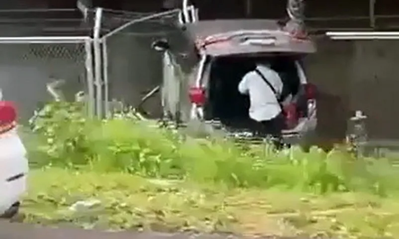 Video clip: Ô tô 7 chỗ mất lái lao khỏi cao tốc Phan Thiết - Dầu Giây