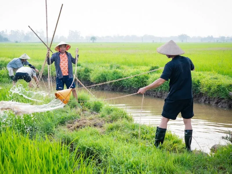bo-oi-minh-di-dau-the (3)