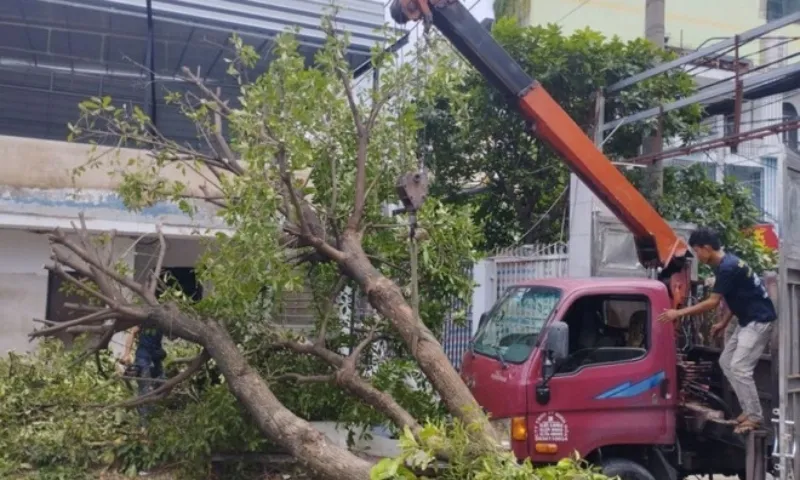 TPHCM tổng lực chống ngập, đổ cây mùa mưa bão