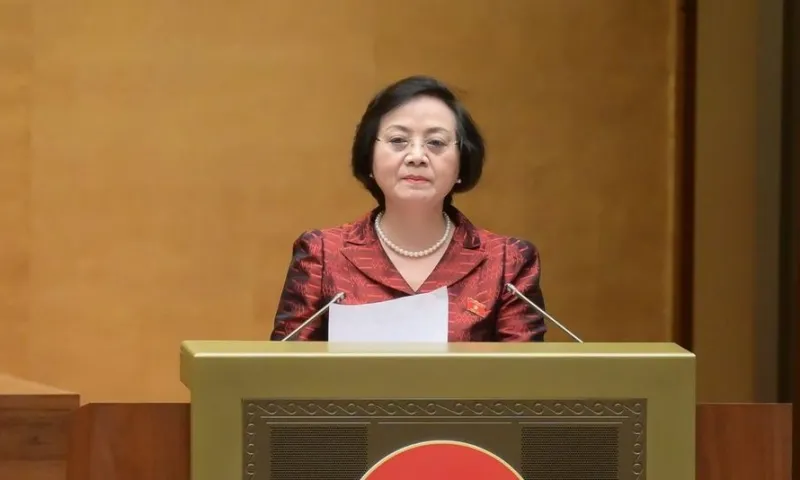 Bo noi vu 2025