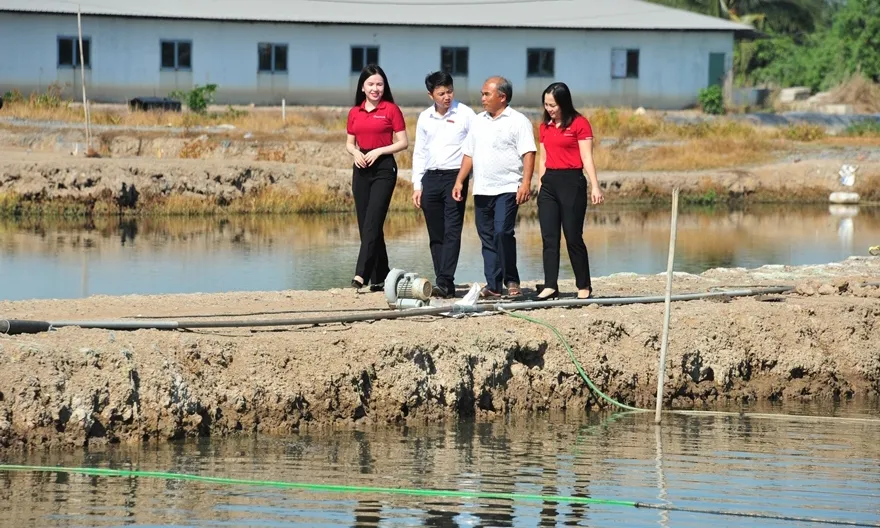 Đồng hành cùng người nông dân kiên trì gây dựng cơ nghiệp