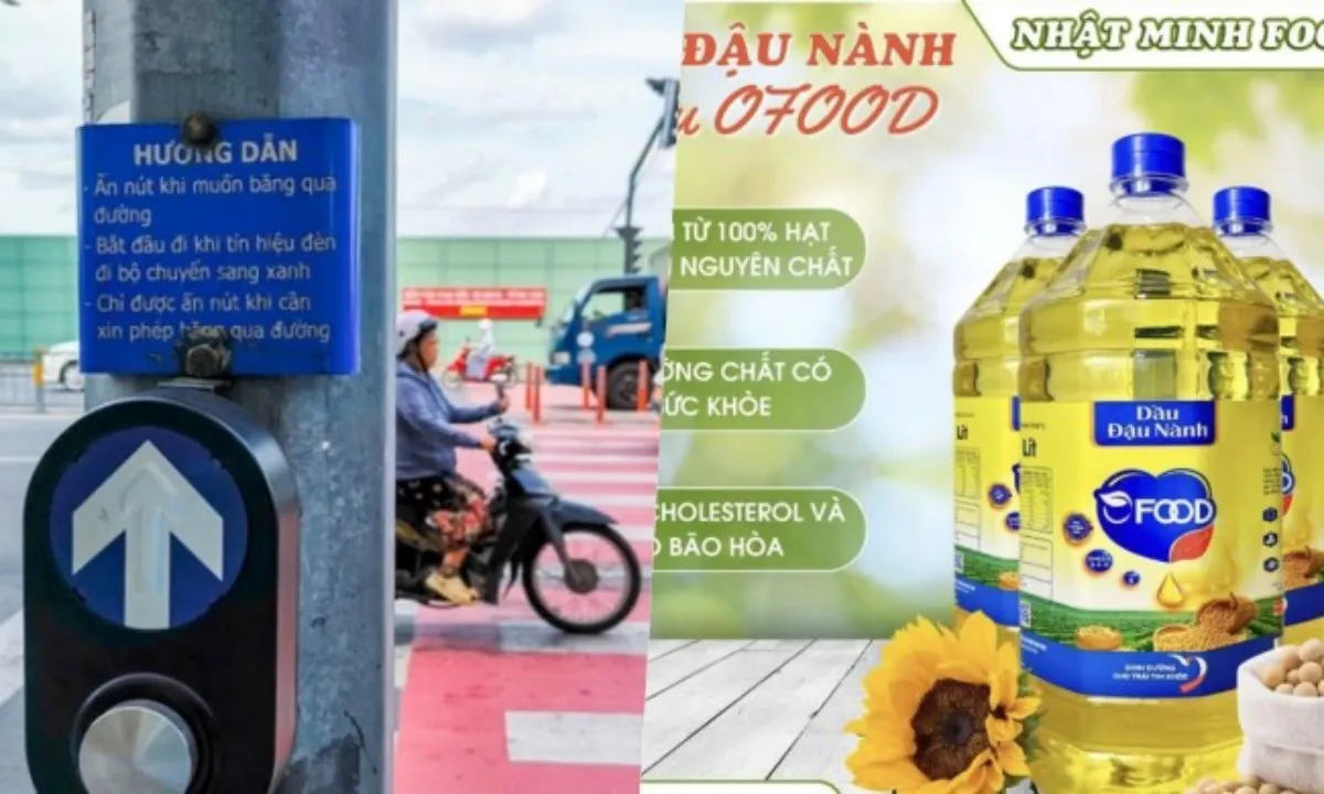 Điểm tin sáng 25/6: Xem xét mở thêm đèn cảnh báo vạch đi bộ | Dầu chăn nuôi biến thành dầu ăn