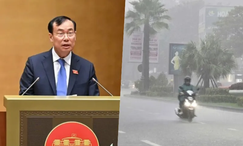 Điểm tin trưa 26/6: Siết xử lý dữ liệu cá nhân | Dự báo mưa to ở nhiều khu vực 