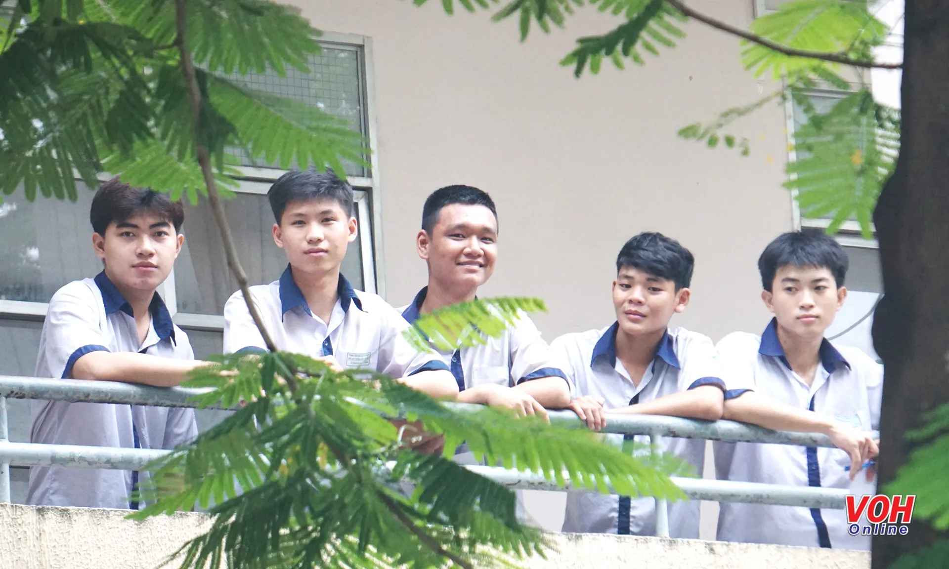 mien-hoc-phi-270625