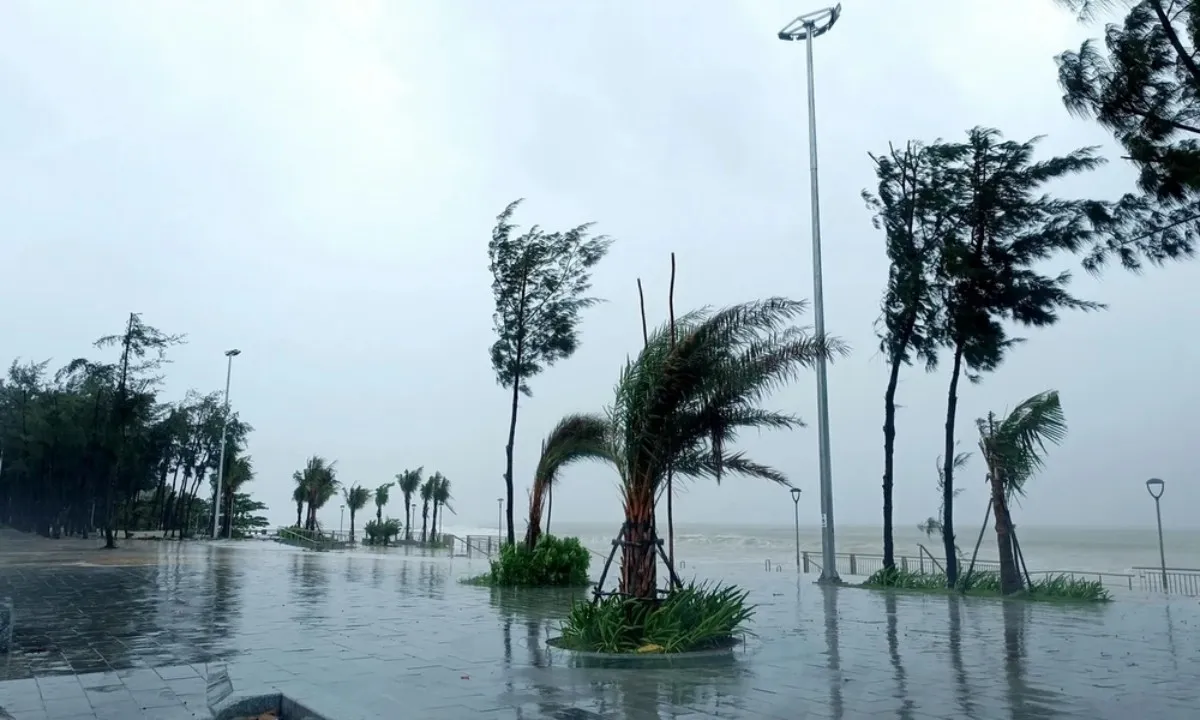 Bắc Bộ sắp hứng mưa lớn diện rộng, nguy cơ lũ quét sạt lở