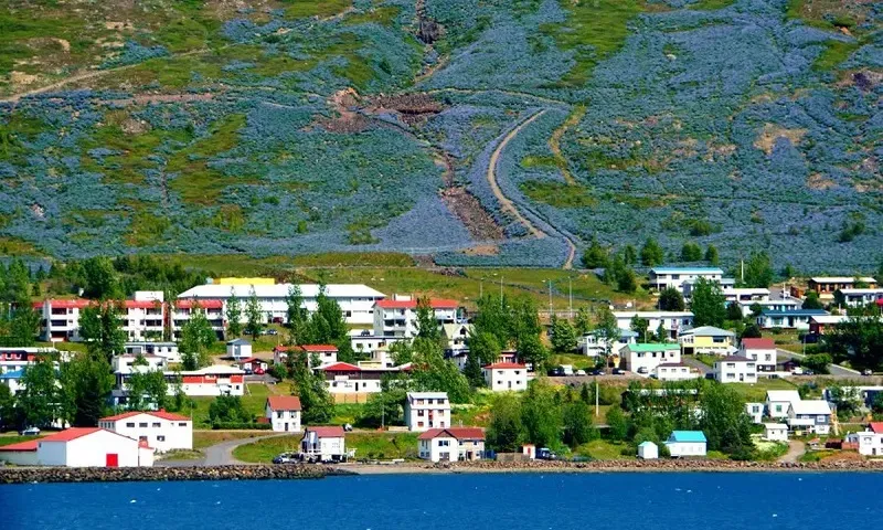 Iceland giữ vững vị trí là quốc gia hòa bình nhất thế giới