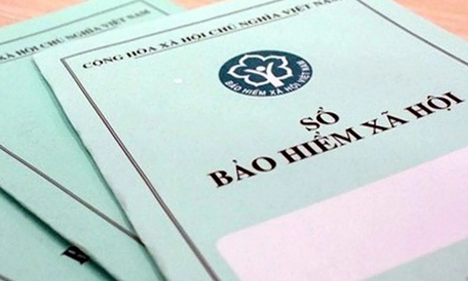 Các mức hỗ trợ cho người tham gia bảo hiểm xã hội tự nguyện