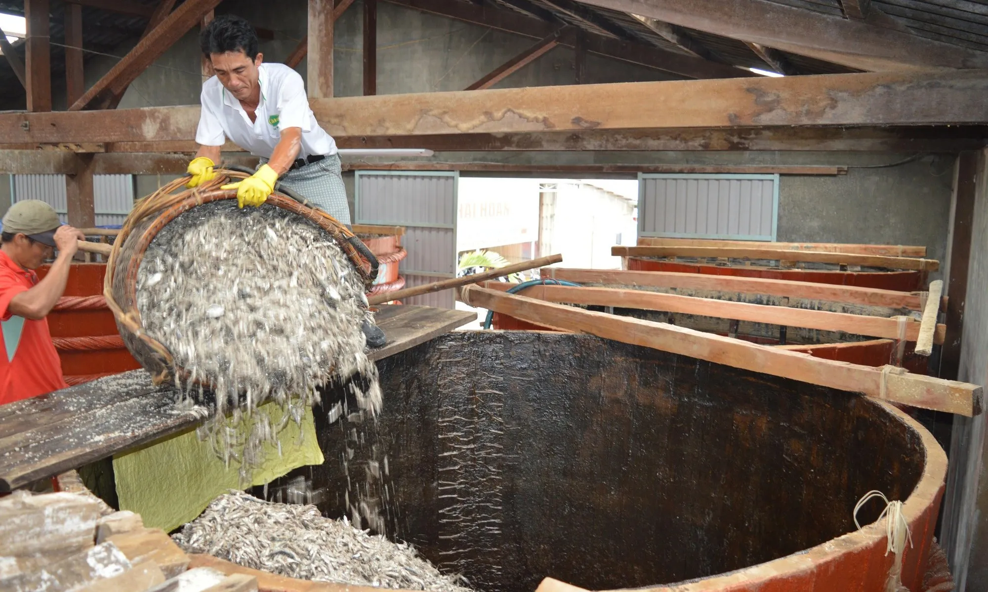 a33-1750237650645617661915-17510172424831139012583