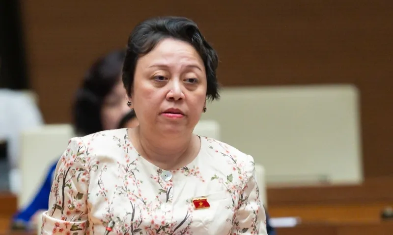 Pham khanh phong lan