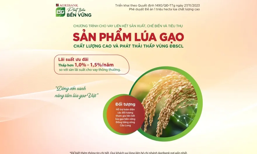 Agribank triển khai chương trình tín dụng ưu đãi phục vụ Đề án 1 triệu hecta lúa chất lượng cao