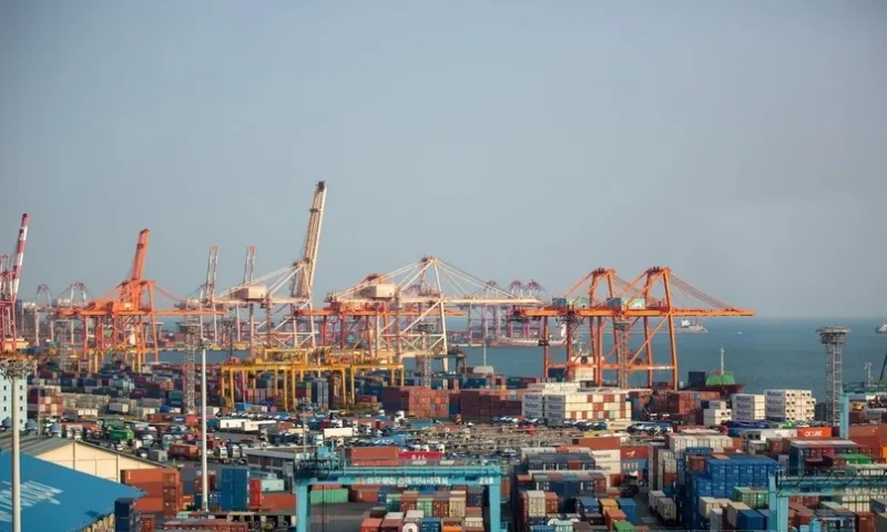 Cang BUsan 