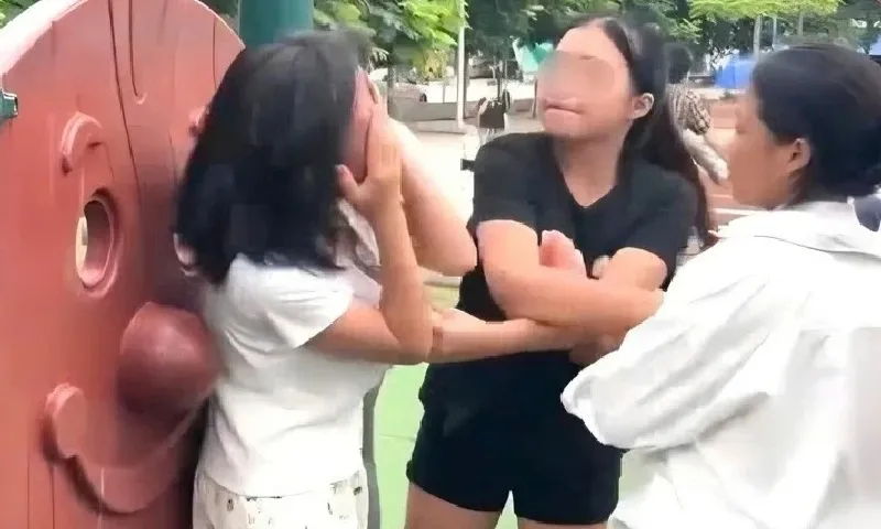 Bắc Ninh: Triệu tập các bên liên quan vụ cô gái bị hành hung tại công viên Lãm Làng