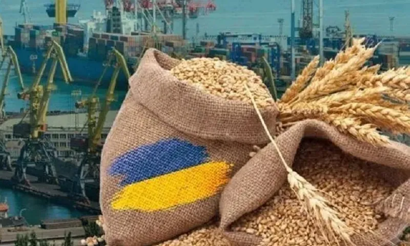 Nông sản ẢnhThe Naval Forces of the Armed Forces of Ukraine