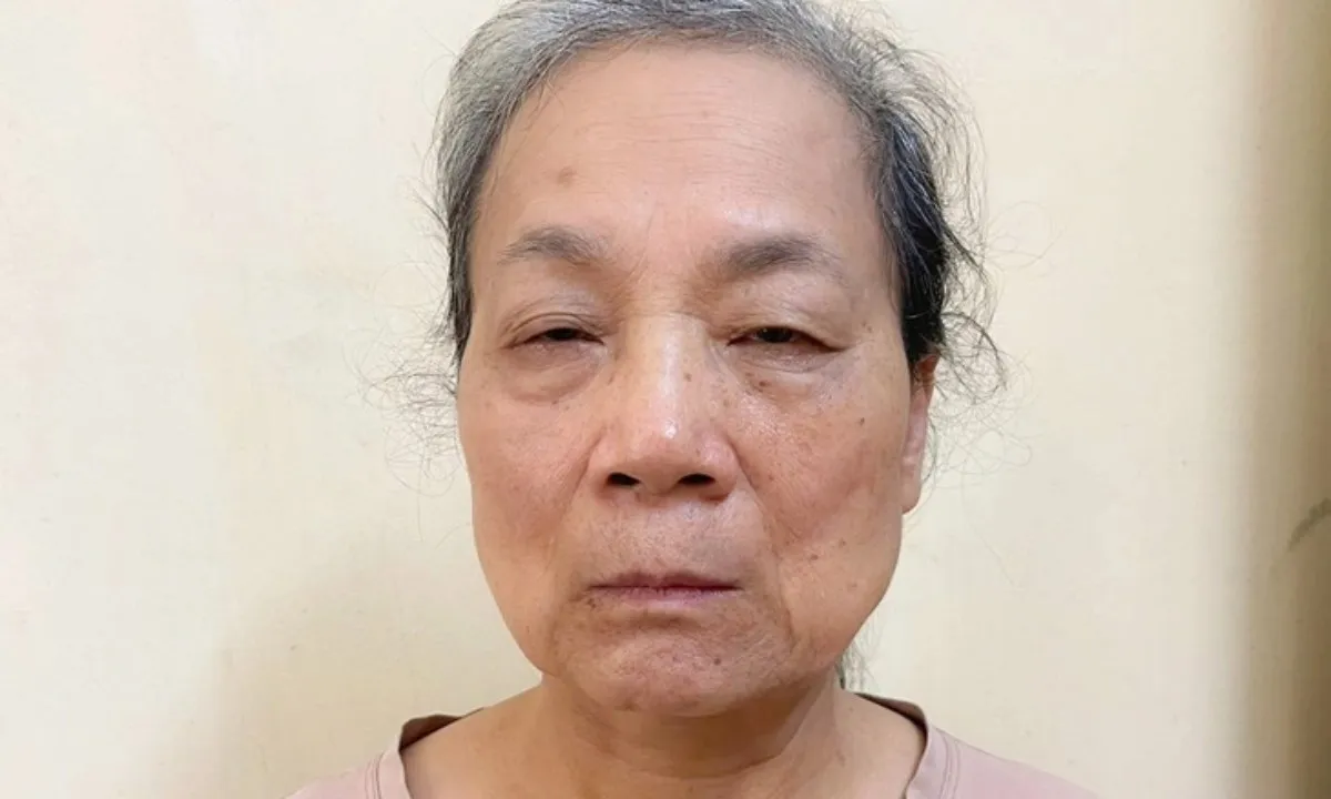 Khởi tố người phụ nữ đến tòa án chửi bới rồi livestream lên mạng