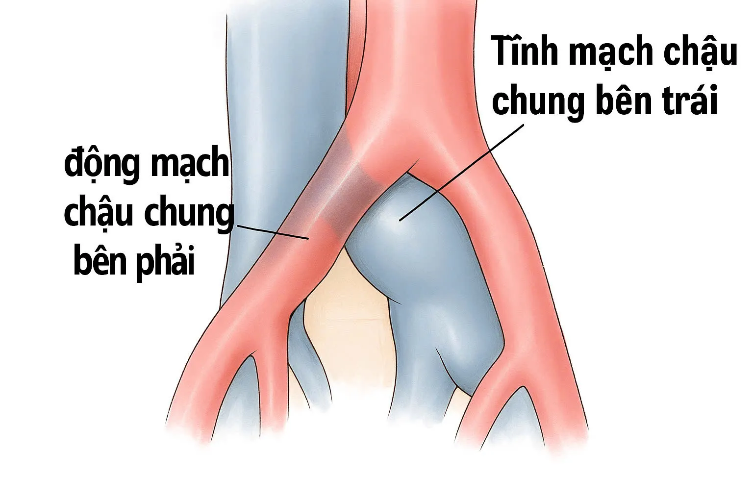 cbb5b80766acd1f288bd_20250702162419