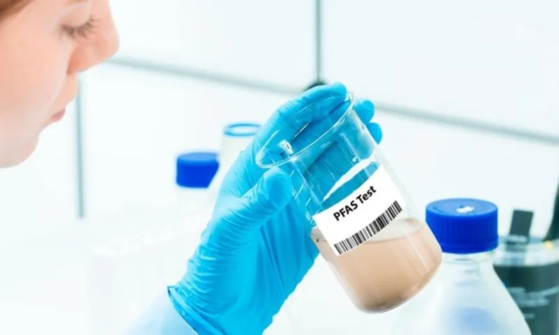 Phát hiện vi khuẩn đường ruột có khả năng loại bỏ PFAS khỏi cơ thể
