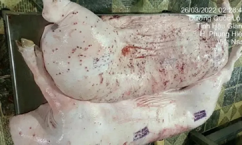 Công ty C.P Việt Nam công bố kết luận từ công an về việc bị tố bán thịt heo bệnh