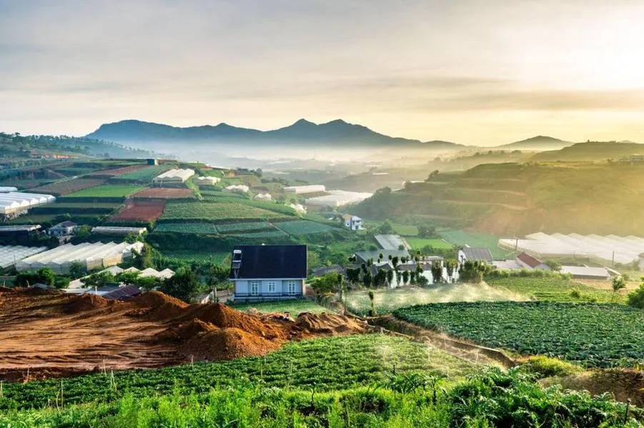 Đà Lạt-5